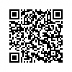 Wetterglas mit Gallilei-Thermometer auf Holzbrett ca. 18 x 25 cm